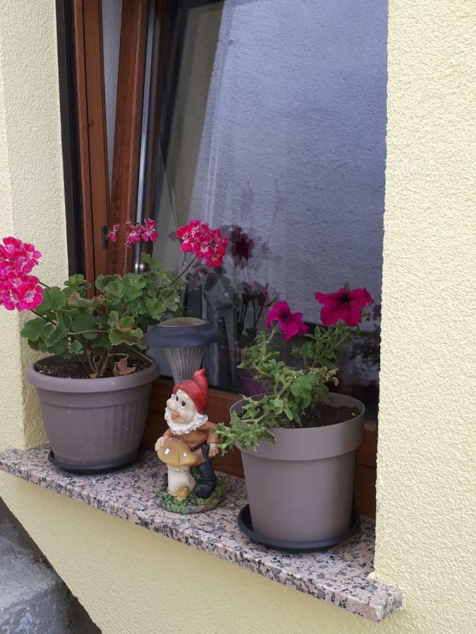 Apartment Dujica セニ エクステリア 写真