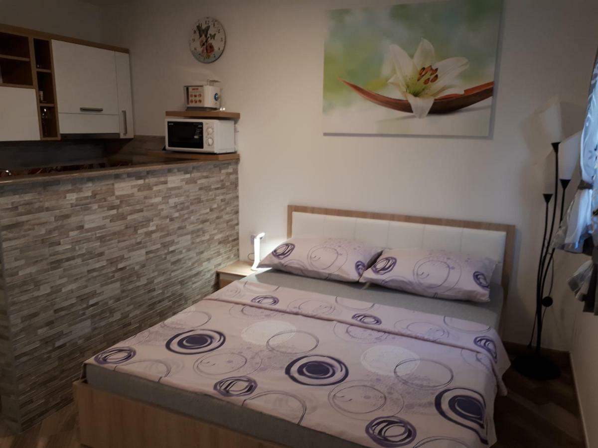 Apartment Dujica セニ エクステリア 写真